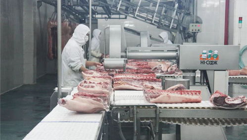 疫情下的上海松江生猪产业链 养猪户的猪非但没饿死,线上销售量反而增10倍
