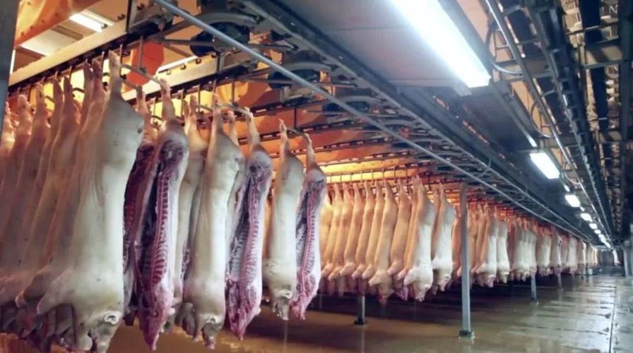 你有没有想过,超市或者菜市场里,玲琅满目的猪肉产品是怎么来的?