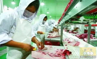 双汇发展 去年美国进口猪肉占原料比重不大